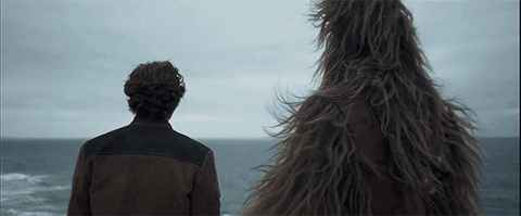 Han Solo with Chewbacca staring into the ocean. Chewbacca putting arm around Han Solo