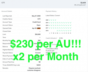 $230 per authorized user is made per month using tradelines
